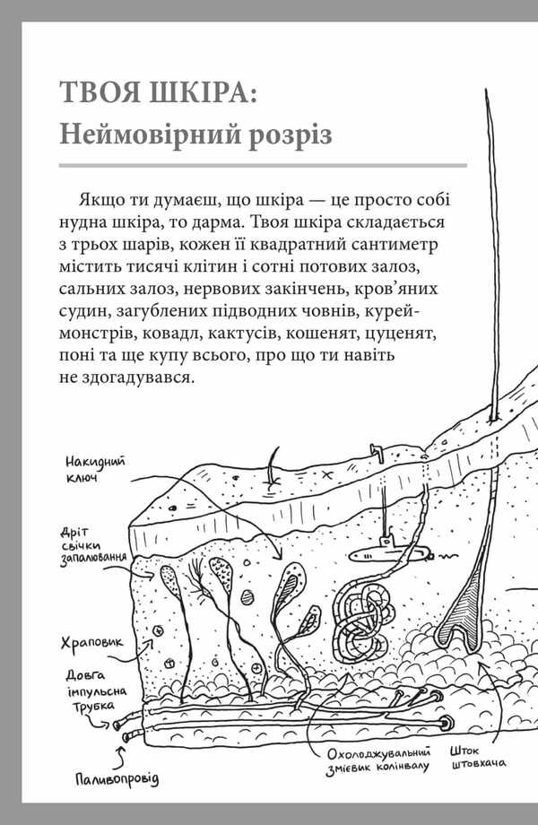 What kind of organ is this?A silly guide to the anatomy of your body / Що це за орган? Дурнуватий довідник з анатомії твого тіла Энди Гриффитс 978-617-5230-14-5-6