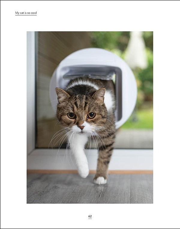 Whats My Cat Thinking? Understand Your Cat To Give Them A Happy Life Joe Lewis - Джо Льюис 9780241500934-6
