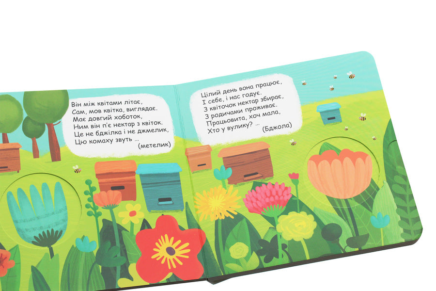 Who Hid In The Yard?Hide And Seek Book / Хто сховався у дворі? Книжка-схованка Vasyl Fedyenko / Василь Федієнко 9789664296202-6