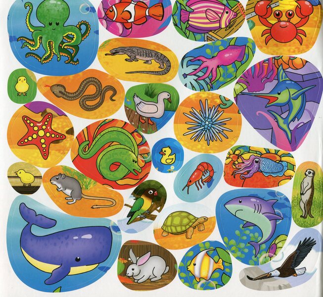 Who Lives Where? Animals Of The World. Book With Stickers. Red / Хто де живе. Тварини світу. Книжка з наліпками. Червона / Author not specified 9786175367131-4
