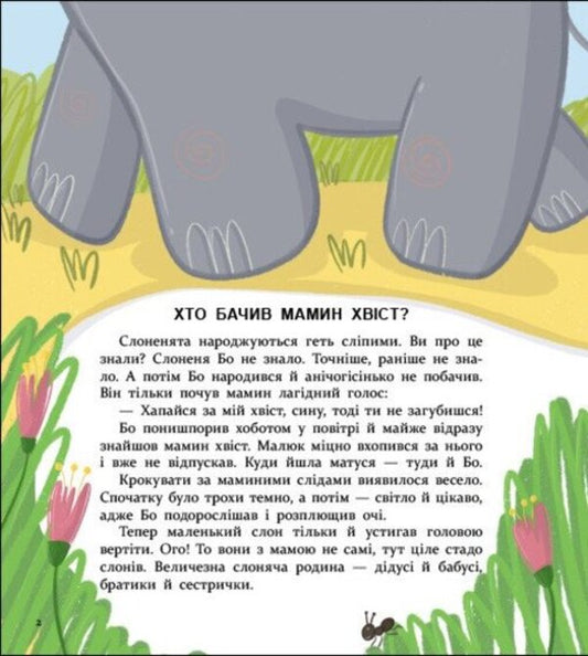 Who Saw Moms Tail? - Хто бачив мамин хвст? Anna Oleynyk - Анна Олйник 9786178772949-2