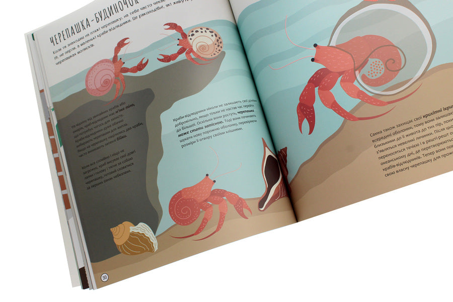 Who is inside? Look into the houses of the animals / Хто всередині? Зазирни в будиночки тварин Кристина Банфи, Кристина Перабони 978-617-09-5469-5-5