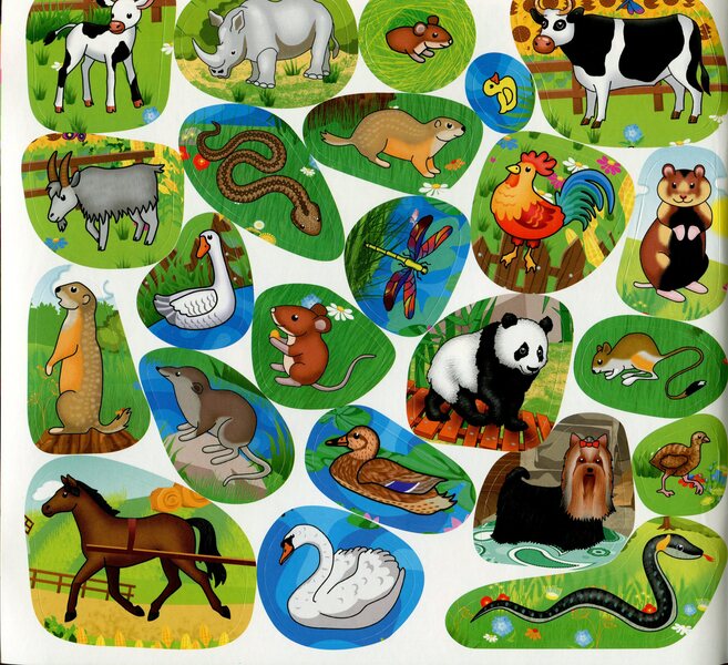 Who lives where? Animals of the world. Green / Хто де живе. Тварини світу. Зелена 9786175367124-4