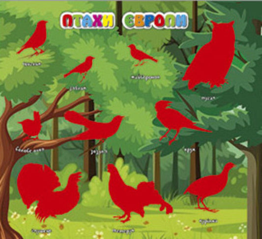 Who lives where? Animals of the world. Violet / Хто де живе. Тварини світу. Фіолетова 978-617-809-029-6-2