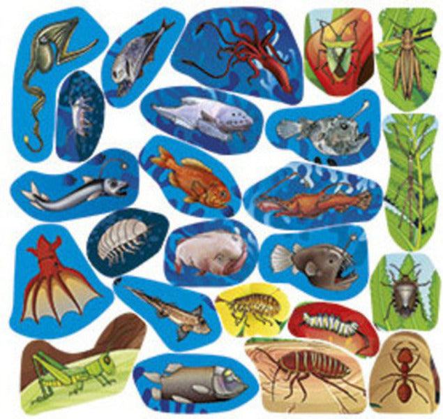 Who lives where? Animals of the world. Violet / Хто де живе. Тварини світу. Фіолетова 978-617-809-029-6-5