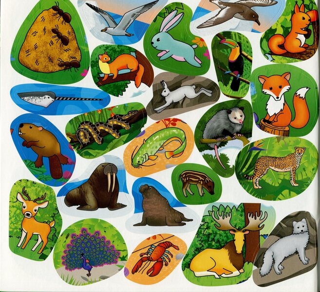 Who lives where? Animals of the world. Yellow / Хто де живе. Тварини світу. Жовта 9786175367148-4