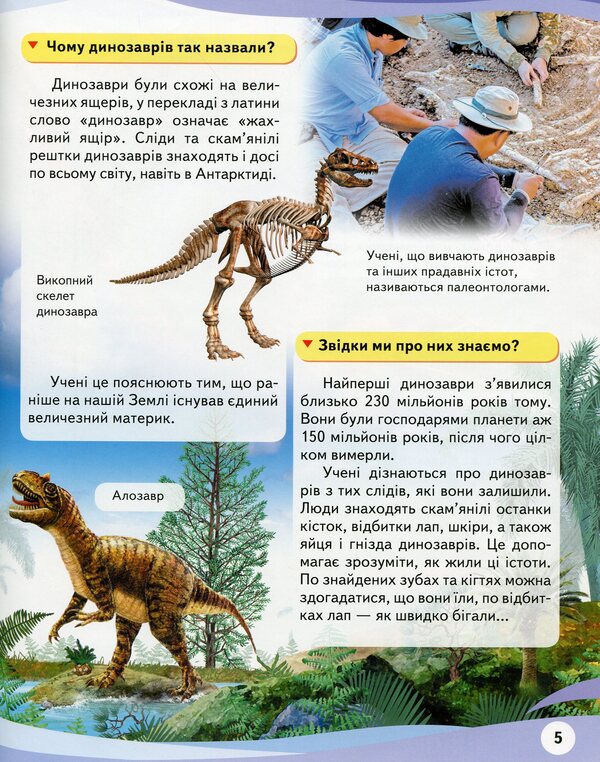 Why? / Чомусики Анна Логвинкова 9789669472700-6