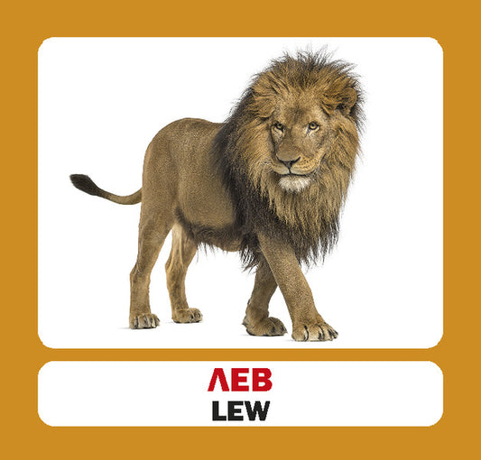 Wild Animals. Set Of Cards - Дик тварини. Набр карток - Author not specified 9786177360987-2