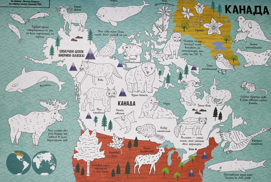 Wildlife. Atlas coloring page / Жива природа. Атлас-розмальовка 978-966-74-8084-4, 978-1-78055-393-1-6