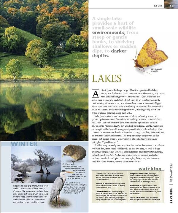 Wildlife Of Britain And Ireland / Author not specified 9780241569597-6