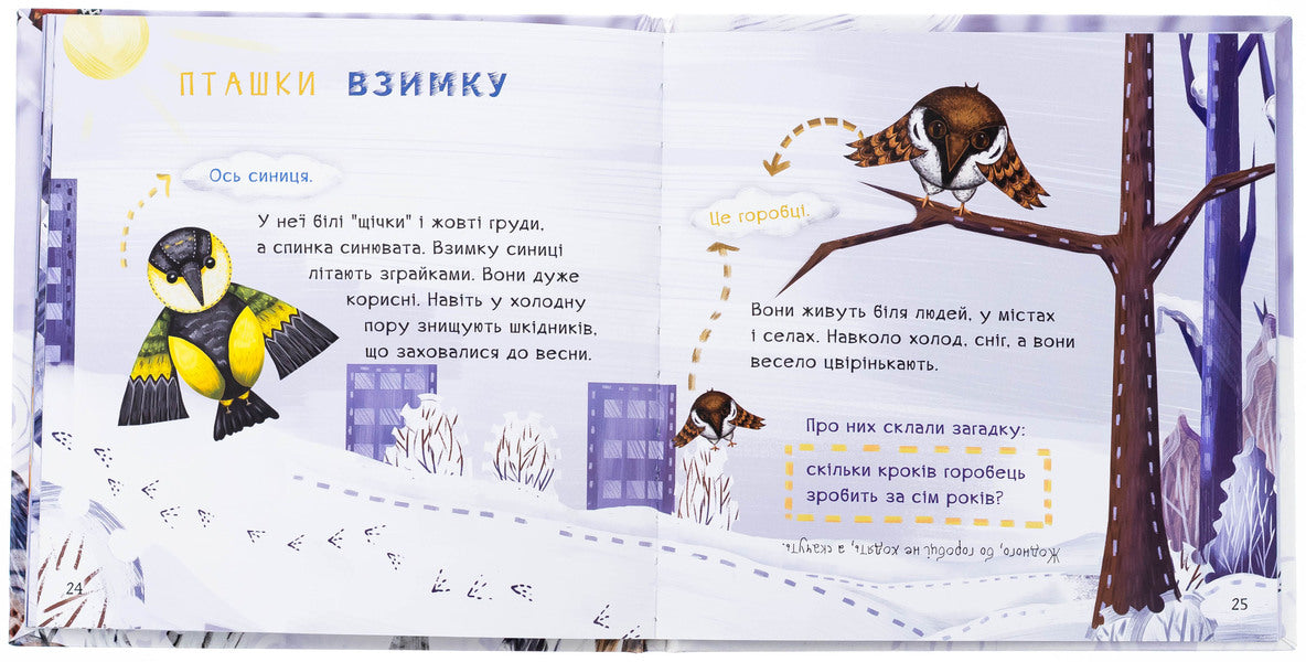 Winter picnic / Зимовий пікнік Зирка Мензатюк 978-966-997-243-9-6
