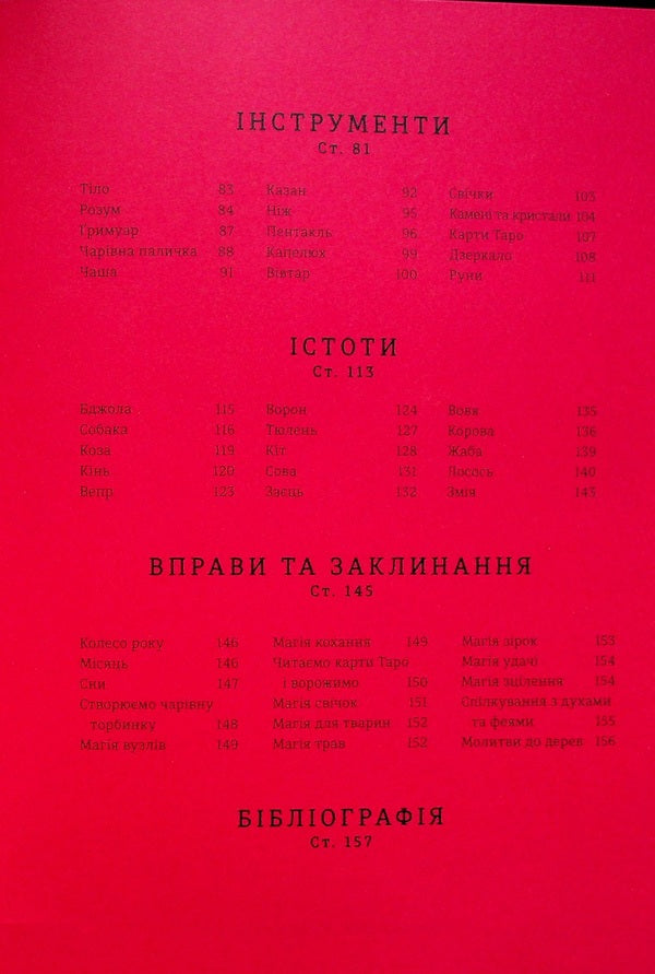 Wizards and Witches: A Beginner's Guide to Magic / Чарівники й чаклунки: посібник із магії для початківців Франческа Маттеони 978-617-8286-12-5-6