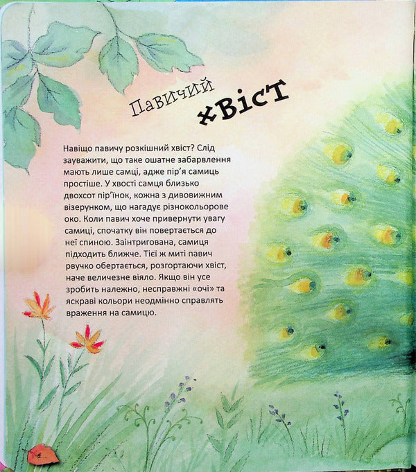 Wonders of the animal world / Дивовижі тваринного світу Алехандро Альгара 978-966-429-781-0-6