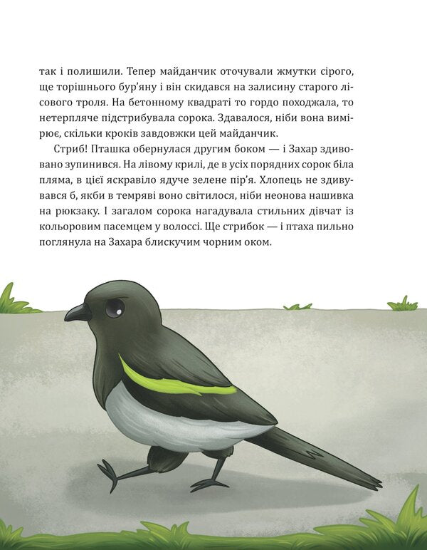 Workshop of the wizard of Ants / Майстерня чаклуна Мурахи Елена Колинько 978-966-10-8774-2-6