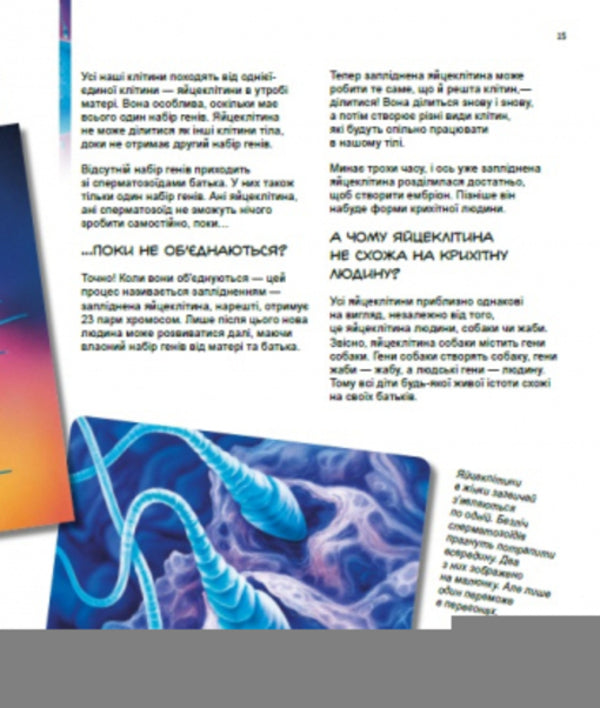 X and Y, girl or boy? / Х та Y, дівчинка або хлопчик? Патрик Боэрле, Норберт Ланда 9786170969910-5