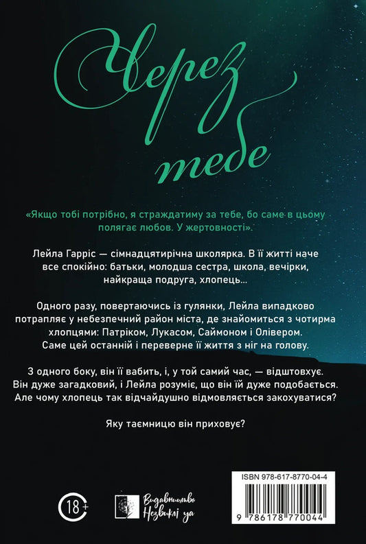 You Book 1 Through You - You Книга 1 Через тебе Isabella Novachyk - забелла Новачик 9786178770044-2