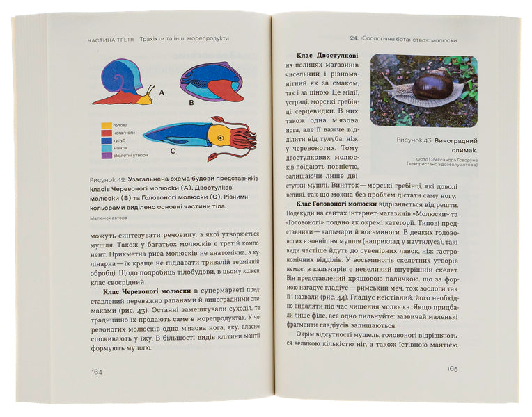 Zoological tour of the supermarket / Зоологічна екскурсія супермаркетом Леонид Горобец 978-617-7960-75-0-6