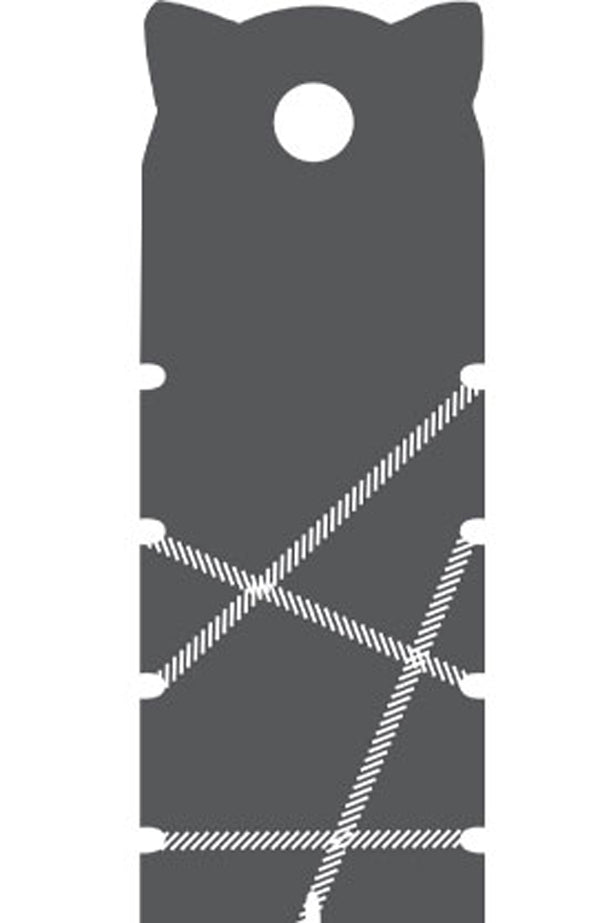 Zoology. Raccoon. Combine in pairs / ЗооЛогіка. Єнот. Поєднуємо в пари 978-966-943-004-5-4
