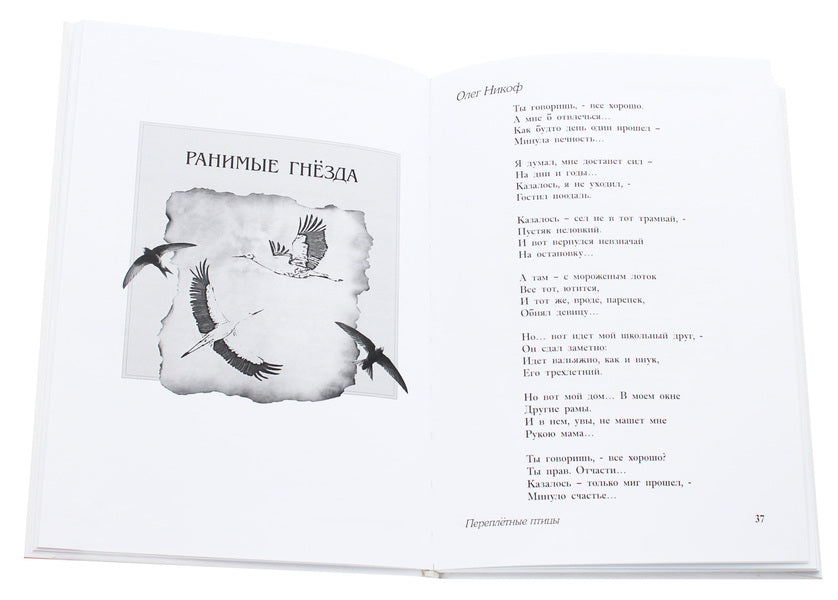 bookbinding birds / Переплетные птицы Татьяна Шеина, Артём Сенчило, Олег Никоф, Ирина Рыпка, Виталий Ковальчук 978-617-7380-76-3-6