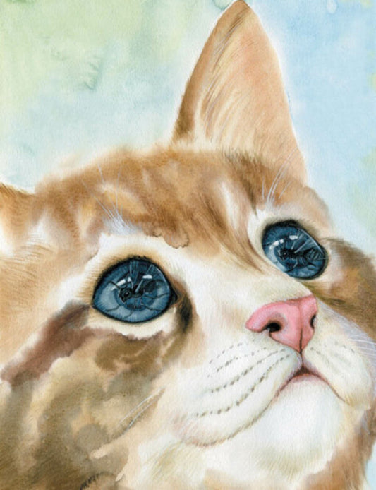 cats People like you / Коти. Такі, як ти Мария Козыренко 978-617-09-8546-0-2