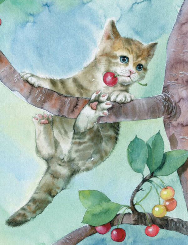 cats People like you / Коти. Такі, як ти Мария Козыренко 978-617-09-8546-0-5