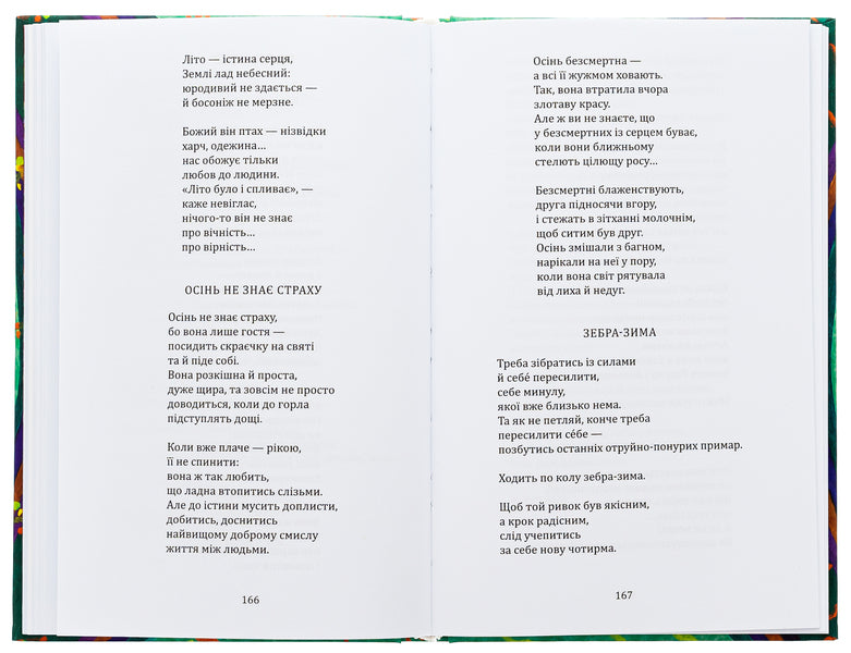 heaven / Небоземля Лариса Дубас 978-617-95000-1-5-6