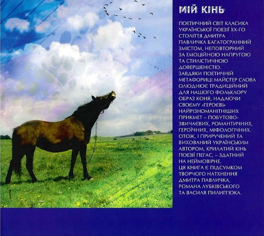 my horse / Мій кінь Дмитрий Павлычко, Роман Лубкивский, Василий Пилипюк 9789667594756-2