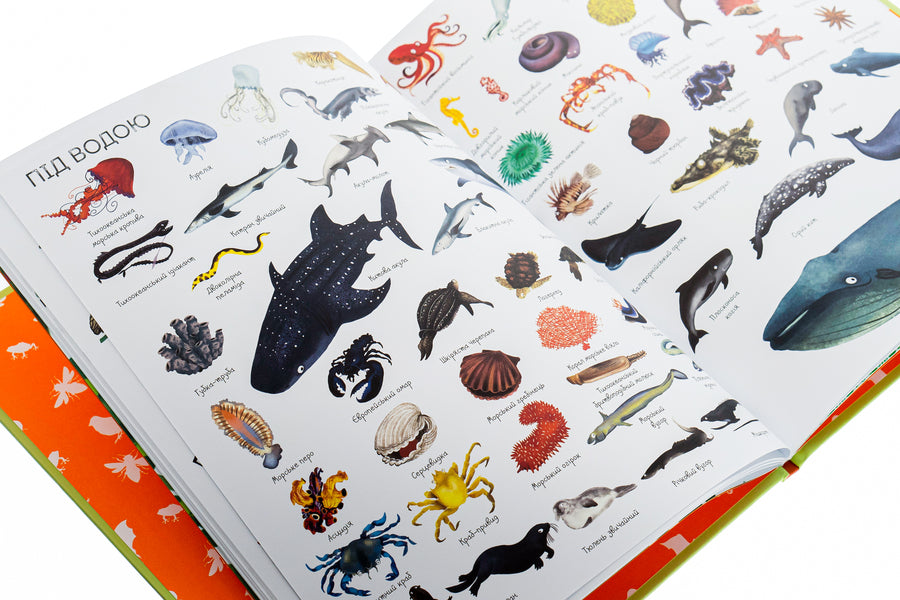 1000 animal names / 1000 назв тварин  978-617-7579-17-4-4