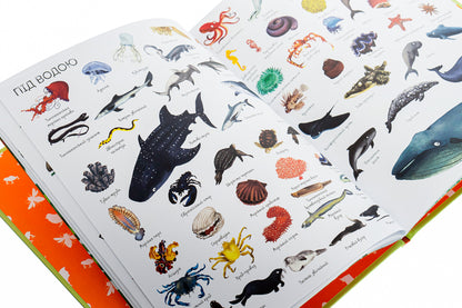 1000 animal names / 1000 назв тварин  978-617-7579-17-4-4