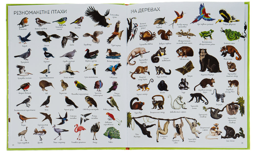1000 animal names / 1000 назв тварин  978-617-7579-17-4-6