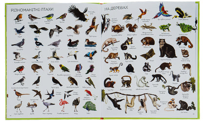 1000 animal names / 1000 назв тварин  978-617-7579-17-4-6