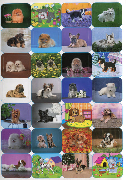 100% Stickers. Animals (Set Of 3 Books) / 100% наліпок. Тварини (комплект із 3 книг) / Author not specified 9786175368046,9786175368039,9786175368022-10