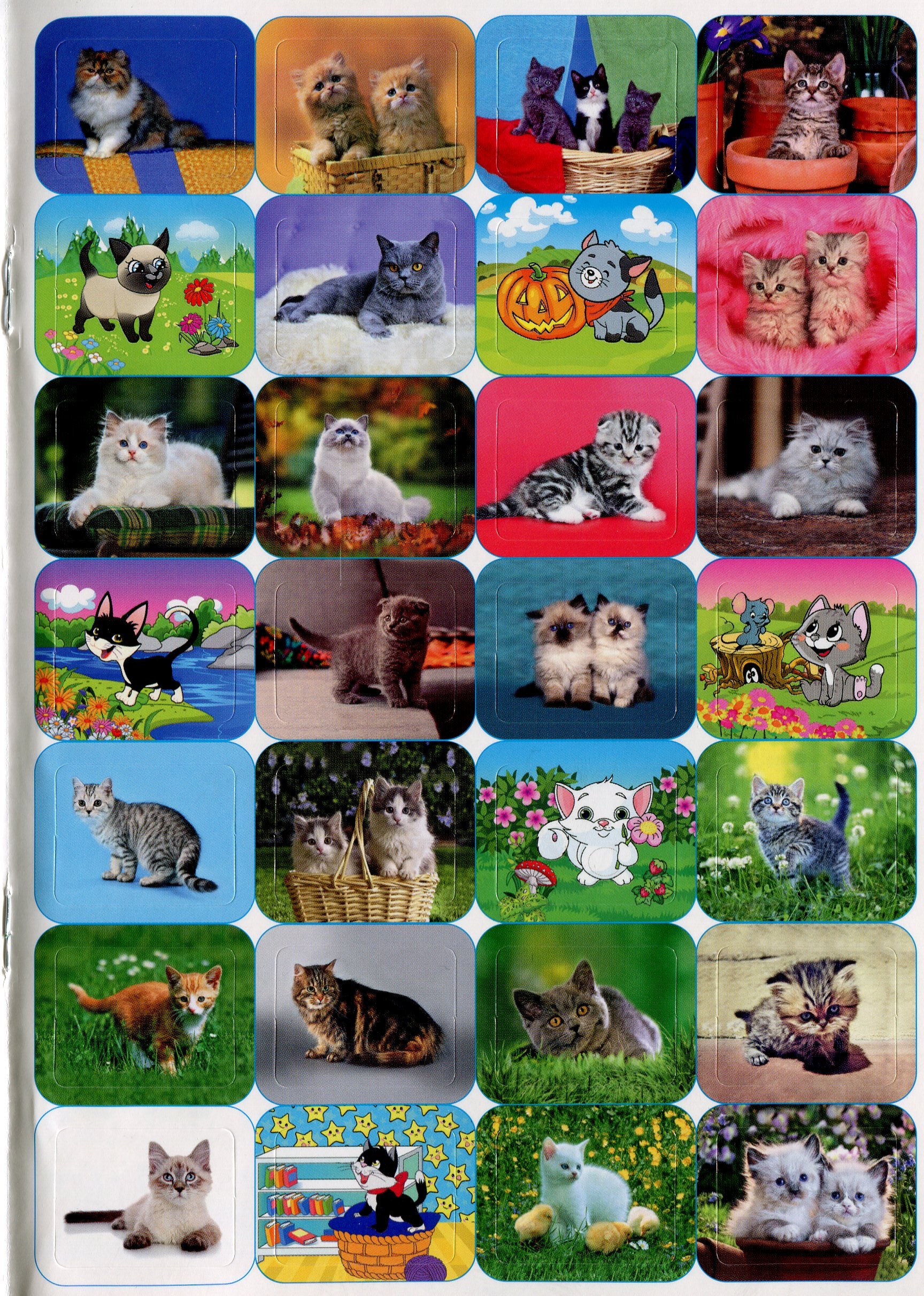 100% Stickers. Animals (Set Of 3 Books) / 100% наліпок. Тварини (комплект із 3 книг) / Author not specified 9786175368046,9786175368039,9786175368022-13