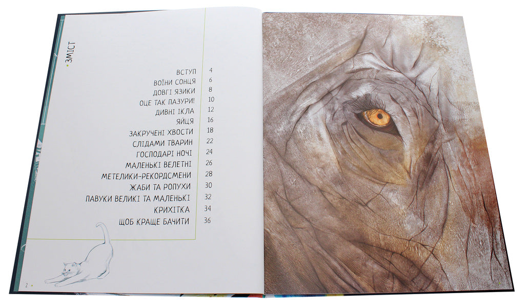100% animals / Тварини на всі 100% Рита Скьяво 978-617-7914-04-3-4