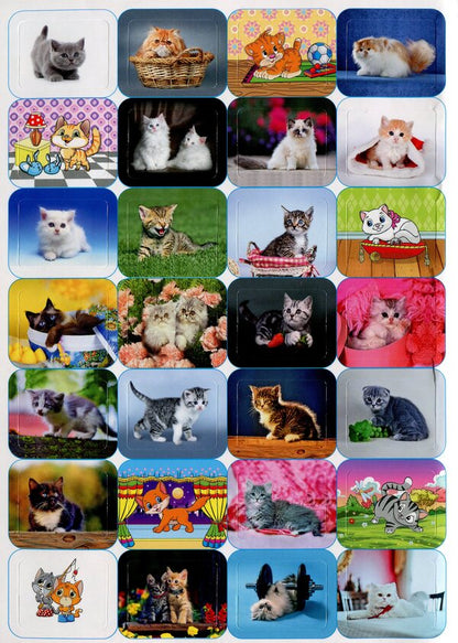 100% stickers.Cats and kittens / 100% наліпок. Коти та кошенята  9786175368022-3