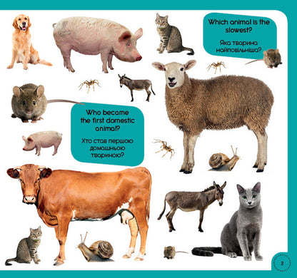 100 words about animals of the world / 100 words about animals of the World / 100 слів про тварин світу / 100 words about animals of the World Татьяна Кузьменко 978-617-7686-45-2-4