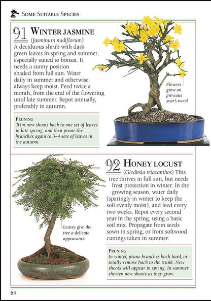 101 Essential Bonsai Tips. Breaks Down the Subject into 101 Easy-to-Grasp Tips / 101 Essential Tips Bonsai. Breaks Down the Subject into 101 Easy-to-Grasp Tips Гарри Томлинсон 9780241408599-4