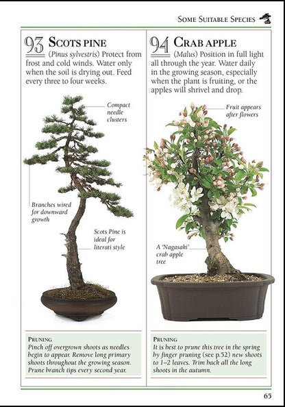 101 Essential Bonsai Tips. Breaks Down the Subject into 101 Easy-to-Grasp Tips / 101 Essential Tips Bonsai. Breaks Down the Subject into 101 Easy-to-Grasp Tips Гарри Томлинсон 9780241408599-5
