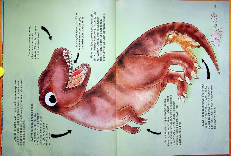 101 dinosaurs. Magical creatures / 101 динозавр. Чарівні створіння Руби ван дер Боген 978-617-8772-38-3-3