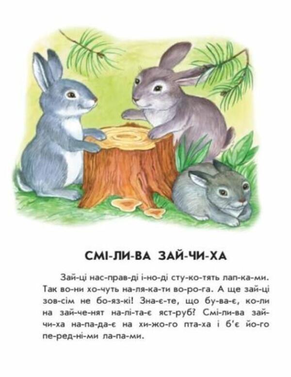 10 stories by composition. Forest concert / 10 історій по складах. Лісовий концерт Юлия Каспарова 9786170983633-4