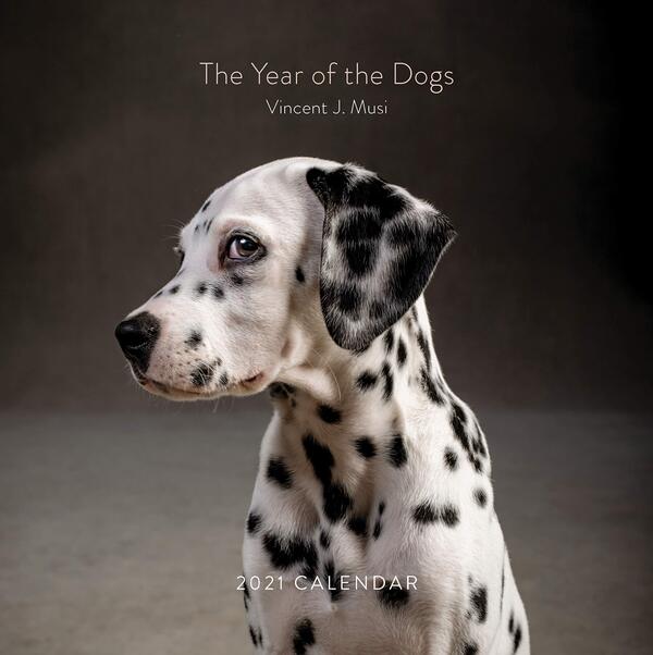 2021 Wall Calendar: Year of the Dogs / 2021 Wall Calendar: Year of the Dogs  -1