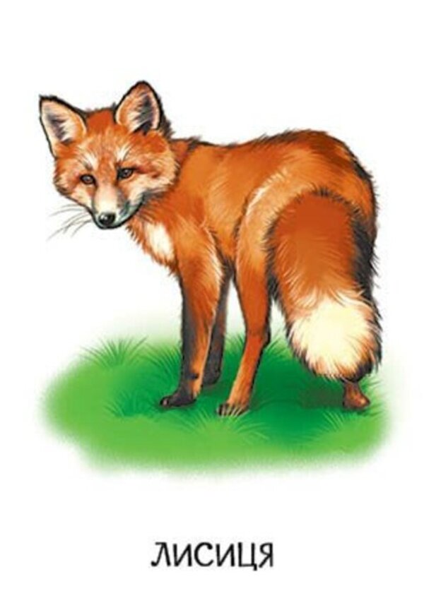 22 Pictures Favorite Animals - 22 картинки Улюблен тварини - Author not specified 2812810003977-6