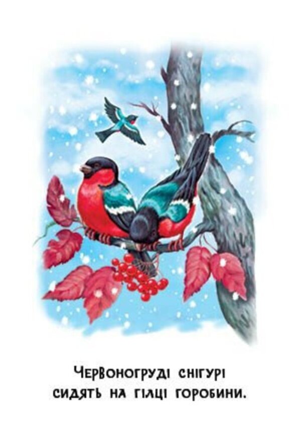 22 Pictures Seasons Of The Year - 22 картинки Пори року - Author not specified 9786178773793-6