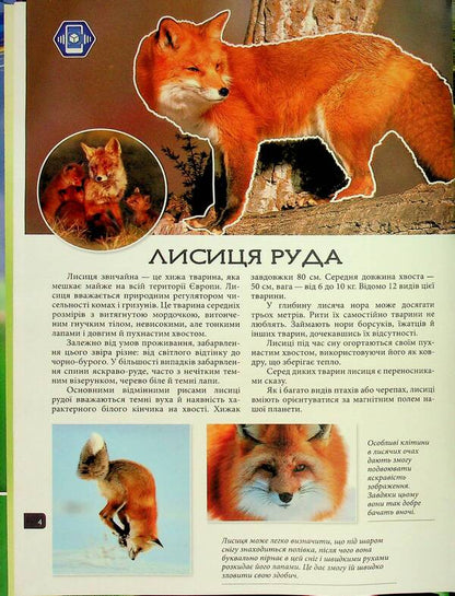 4D Animals Of Ukraine / 4D Тварини України / Author not specified 9786178237486-4