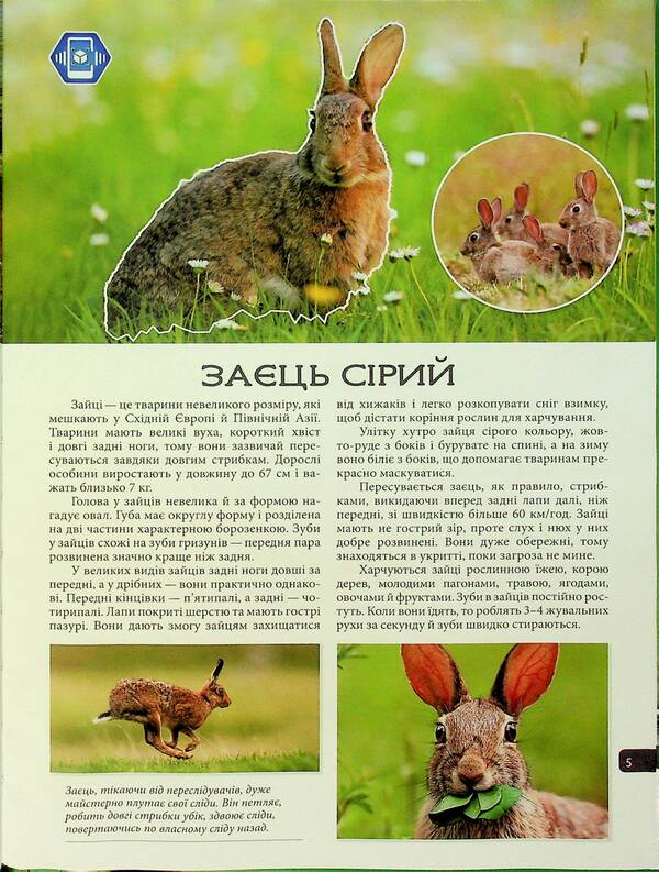 4D Animals Of Ukraine / 4D Тварини України / Author not specified 9786178237486-5