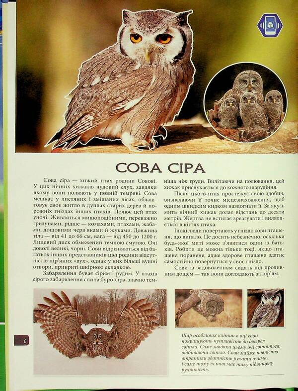 4D Animals Of Ukraine / 4D Тварини України / Author not specified 9786178237486-6