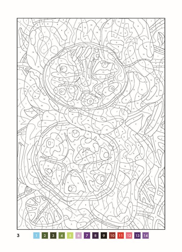 50 magical coloring pages.Inspiration / 50 магічних фарбованок. Натхнення  978-617-7853-83-0-5