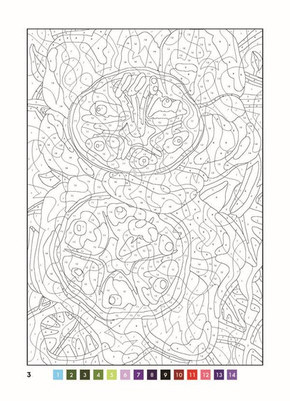 50 magical coloring pages.Inspiration / 50 магічних фарбованок. Натхнення  978-617-7853-83-0-5
