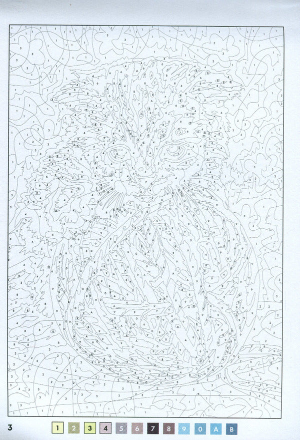 50 magical coloring pages. cats / 50 магічних фарбованок. Котики  9786178023621-5