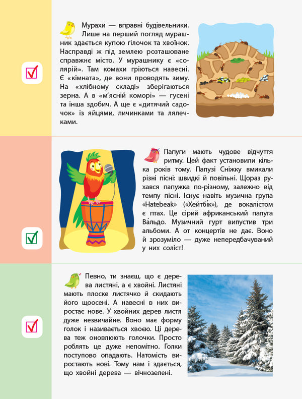 90 days of summer. Cards for every day. 1st grade coming soon / 90 днів літа. Картки на кожен день. Скоро 1 клас Алена Пуляева 978-617-09-5062-8-5
